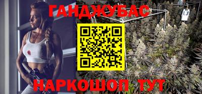 шишки Ставрополь