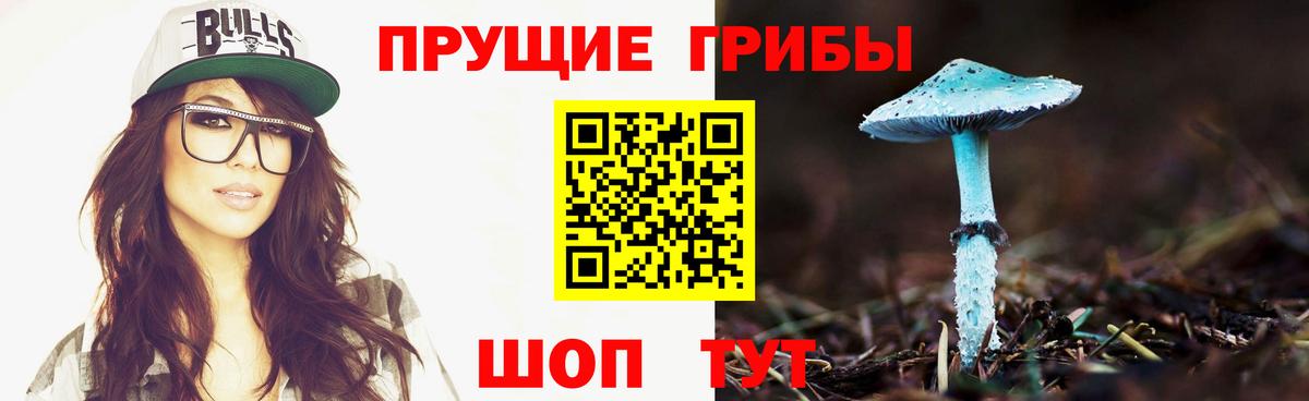 Псилоцибиновые грибы Cubensis  Вход с VPN  Тутаев 