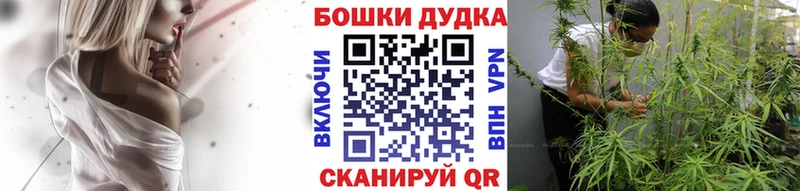 площадка телеграм  Тутаев  МАРИХУАНА индика 